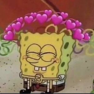 Meet your Posher, Carina